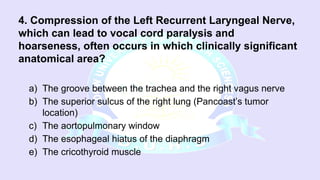 03.GROSS Thoracic Sympathetic Trunk.pptx