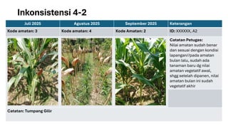 Comprehensive Field Inspection and Monitoring of Corn Sample Frame ...