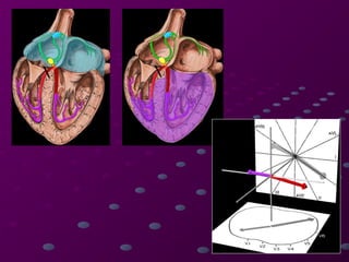 Comprehensive Guide to Cardiac Rhythms and AV Blocks in ECG ...