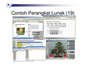 Comprehensive Overview of Software Types, Functions, and Examples | PDF
