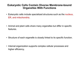 Comprehensive Overview of Cell Structure and Function in Prokaryotic ...