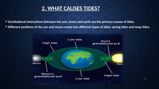 Spring Tide Causes Comprehensive Introduction to Tides: Causes, Types, and Measurement ...