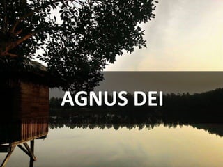AGNUS DEI
 