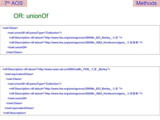 OR: unionOf <owl:Class> <owl:unionOf rdf:parseType="Collection"> <rdf:Description rdf:about="http://www.fao.org/aos/agrovoc/2005#c_823_Barley_ 大麦 "/> <rdf:Description rdf:about="http://www.fao.org/aos/agrovoc/2005#c_3662_Hordeumvulgare_ 大麦植物 "/> </owl:unionOf> </owl:Class> <rdf:Description rdf:about="http://www.caas.net.cn/2005/cat#c_7536_ 大麦 _Barley"> <owl:equivalentClass> <owl:Class> <owl:unionOf rdf:parseType="Collection"> <rdf:Description rdf:about="http://www.fao.org/aos/agrovoc/2005#c_823_Barley_ 大麦 "/> <rdf:Description rdf:about="http://www.fao.org/aos/agrovoc/2005#c_3662_Hordeumvulgare_ 大麦植物 "/> </owl:unionOf> </owl:Class> </owl:equivalentClass> </rdf:Description> 7 th  AOS Methods 