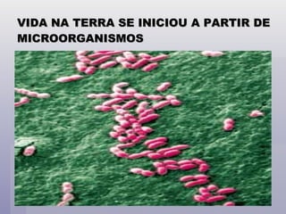 VIDA NA TERRA SE INICIOU A PARTIR DE MICROORGANISMOS 