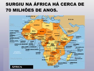 SURGIU NA ÁFRICA HÁ CERCA DE 70 MILHÕES DE ANOS. 