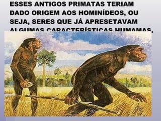 ESSES ANTIGOS PRIMATAS TERIAM DADO ORIGEM AOS HOMINÍDEOS, OU SEJA, SERES QUE JÁ APRESETAVAM ALGUMAS CARACTERÍSTICAS HUMAMAS. 