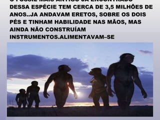 O FOSSIL MAIS ANTIGO JÁ ENCONTRADO DESSA ESPÉCIE TEM CERCA DE 3,5 MILHÕES DE ANOS..JA ANDAVAM ERETOS, SOBRE OS DOIS PÉS E TINHAM HABILIDADE NAS MÃOS, MAS AINDA NÃO CONSTRUÍAM INSTRUMENTOS.ALIMENTAVAM–SE BASICAMENTE DE VEGETAIS . 