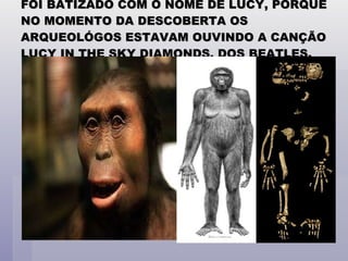 FOI BATIZADO COM O NOME DE LUCY, PORQUE NO MOMENTO DA DESCOBERTA OS ARQUEOLÓGOS ESTAVAM OUVINDO A CANÇÃO LUCY IN THE SKY DIAMONDS, DOS BEATLES. 