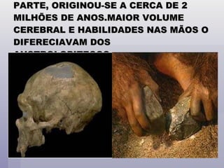 O GENERO HOMO DO QUAL FAZEMOS PARTE, ORIGINOU-SE A CERCA DE 2 MILHÕES DE ANOS.MAIOR VOLUME CEREBRAL E HABILIDADES NAS MÃOS O DIFERECIAVAM DOS AUSTROLOPITECOS. 