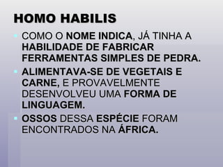 HOMO HABILIS COMO O  NOME INDICA , JÁ TINHA A  HABILIDADE DE FABRICAR FERRAMENTAS SIMPLES   DE PEDRA. ALIMENTAVA-SE DE VEGETAIS E CARNE,  E PROVAVELMENTE DESENVOLVEU UMA  FORMA DE LINGUAGEM. OSSOS  DESSA  ESPÉCIE  FORAM ENCONTRADOS NA  ÁFRICA. 