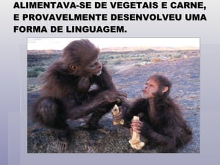 ALIMENTAVA-SE DE VEGETAIS E CARNE, E PROVAVELMENTE DESENVOLVEU UMA FORMA DE LINGUAGEM. 