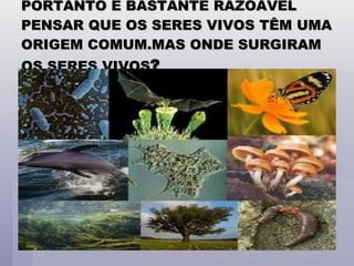 PORTANTO E BASTANTE RAZOÁVEL PENSAR QUE OS SERES VIVOS TÊM UMA ORIGEM COMUM.MAS ONDE SURGIRAM OS SERES VIVOS ? 