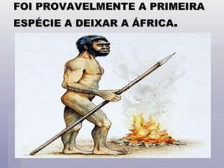 FOI PROVAVELMENTE A PRIMEIRA ESPÉCIE A DEIXAR A ÁFRICA . 