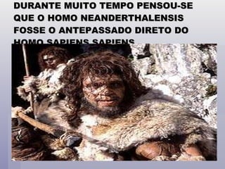 DURANTE MUITO TEMPO PENSOU-SE QUE O HOMO NEANDERTHALENSIS FOSSE O ANTEPASSADO DIRETO DO HOMO SAPIENS SAPIENS 