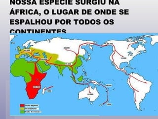 NOSSA ESPÉCIE SURGIU NA ÁFRICA, O LUGAR DE ONDE SE ESPALHOU POR TODOS OS CONTINENTES 
