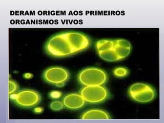DERAM ORIGEM AOS PRIMEIROS ORGANISMOS VIVOS 