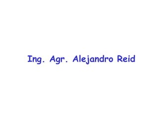Ing. Agr. Alejandro Reid 