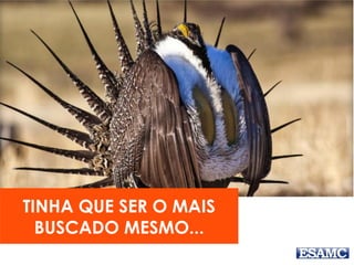 TINHA QUE SER O MAIS
BUSCADO MESMO...
 