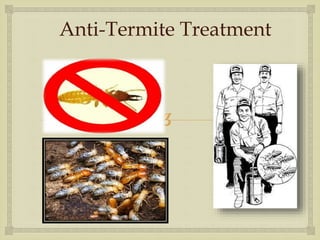 
Anti-Termite Treatment
 