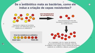 Se o antibiótico mata as bactérias, como ele
induz a criação de cepas resistentes?
 