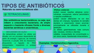 TIPOS DE ANTIBIÓTICOS
Naturais ou semi-sintéticos são:
 TETRACICLINAS
São antibióticos bacteriostáticos, ou seja, que
inibem o crescimento bacteriano, de amplo
espectro e bastante eficazes frente a diversas
bactérias aeróbicas e anaeróbicas.
Exemplos: Clortetraciclina e tigeciclina.
MECANISMO DE AÇÃO:
As tetraciclinas entram na célula por
difusão, em um processo dependente de
gasto de energia. Ligam-se, de maneira
reversível, à porção 30S do ribossomo,
bloqueando a ligação do RNA
transportador, impedindo a síntese
protéica.
Efeitos colaterais
podem causar reações alérgicas como:
urticárias, exantemas, edema periorbitário
e reações anafiláticas;
podem causar alterações na cor dos
dentes em crianças, hipoplasia do esmalte
dentário e crescimento ósseo anormal,
principalmente se utilizadas durante a
gestação;
os efeitos gastrintestinais mais comuns
são: náuseas, vômitos e diarréia;
cefaléia, incapacidade de concentração e,
em raros casos, hipertensão intracraniana
 