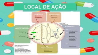 LOCAL DE AÇÃO
 