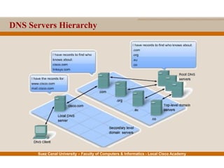 Suez Canal University – Faculty of Computers & Informatics - Local Cisco Academy
DNS Servers Hierarchy
 