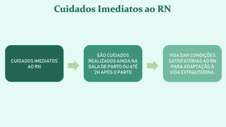 03- Assistencia ao Recem nascido enfermagem | PPTX