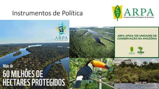 Instrumentos de Política
 