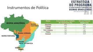 Instrumentos de Política
 