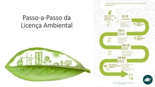 Passo-a-Passo da
Licença Ambiental
 