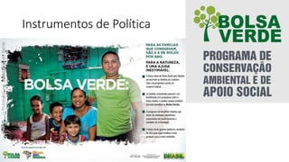 Instrumentos de Política
 