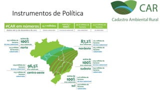 Instrumentos de Política
 