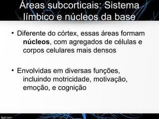 Áreas subcorticais: Sistema
límbico e núcleos da base
●
Diferente do córtex, essas áreas formam
núcleos, com agregados de células e
corpos celulares mais densos
●
Envolvidas em diversas funções,
incluindo motricidade, motivação,
emoção, e cognição
 