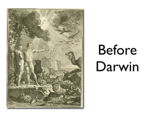Before
Darwin
 