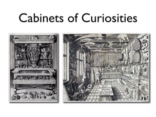 Cabinets of Curiosities
 