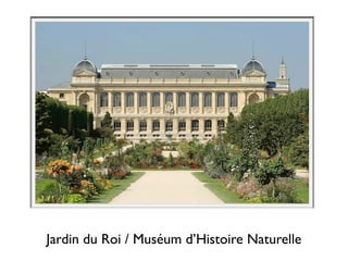 Jardin du Roi / Muséum d’Histoire Naturelle
 