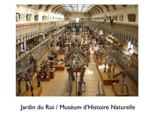 Jardin du Roi / Muséum d’Histoire Naturelle
 