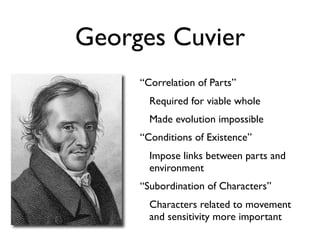 Georges Cuvier
     “Correlation of Parts”
       Required for viable whole
       Made evolution impossible
     “Conditions of Existence”
       Impose links between parts and
       environment
     “Subordination of Characters”
       Characters related to movement
       and sensitivity more important
 