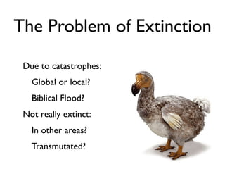 The Problem of Extinction

 Due to catastrophes:
   Global or local?
   Biblical Flood?
 Not really extinct:
   In other areas?
   Transmutated?
 