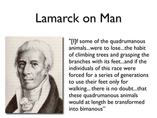 Lamarck on Man
     "[I]f some of the quadrumanous
     animals...were to lose...the habit
     of climbing trees and grasping the
     branches with its feet...and if the
     individuals of this race were
     forced for a series of generations
     to use their feet only for
     walking... there is no doubt...that
     these quadrumanous animals
     would at length be transformed
     into bimanous”
 