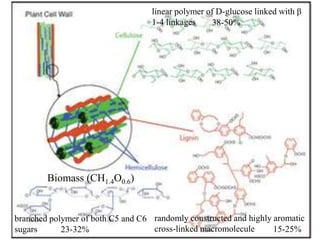 15-25%
Biomass (CH1.4O0.6)
linear polymer of D-glucose linked with β
1-4 linkages
branched polymer of both C5 and C6
sugars
randomly constructed and highly aromatic
cross-linked macromolecule
38-50%
23-32%
 