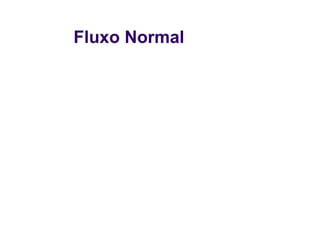 Fluxo Normal
 