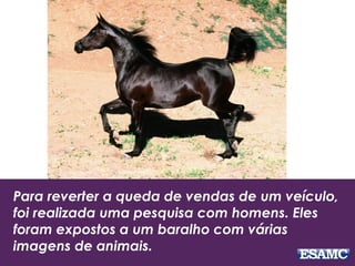 Para reverter a queda de vendas de um veículo,
foi realizada uma pesquisa com homens. Eles
foram expostos a um baralho com várias
imagens de animais.
 