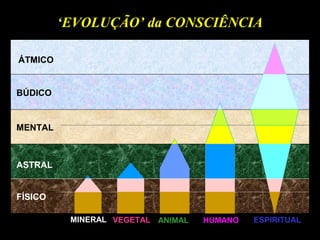 ÁTMICO
BÚDICO
MENTAL
MINERAL VEGETAL HUMANOANIMAL ESPIRITUAL
FÍSICO
ASTRAL
‘EVOLUÇÃO’ da CONSCIÊNCIA
 