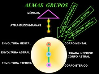 ALMAS GRUPOS
MÔNADA
ATMA-BUDDHI-MANAS
TRIADA INFERIOR
ENVOLTURA MENTAL
ENVOLTURA ASTRAL
ENVOLTURA ETERICA
CORPO ETERICO
CORPO ASTRAL
CORPO MENTAL
ALMAGRUPOMINERAL
ALM
A
G
RUPO
VEG
ETAL
ALMA
GRUPO
ANIMAL
 