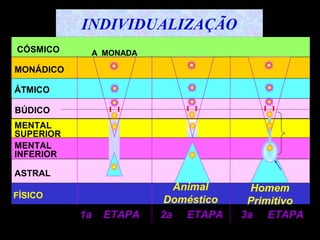 CÓSMICO
MONÁDICO
ÁTMICO
BÚDICO
MENTAL
SUPERIOR
MENTAL
INFERIOR
FÍSICO
1a ETAPA 2a ETAPA 3a ETAPA
A MONADA
Animal
Doméstico
Homem
Primitivo
INDIVIDUALIZAÇÃO
ASTRAL
 