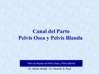 Canal del Parto Pelvis Osea y Pelvis Blanda  Texto de Repaso de Pelvis Osea y Pelvis Blanda 