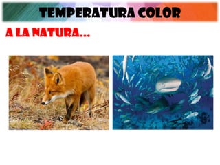 TEMPERATURA COLOR
A LA NATURA...
 